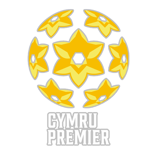 Premier League 2010/2011Play-Off