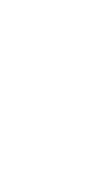 Premier League 2023/24League