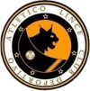 Atlético De Laguna Lince