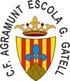 AE Gerard Gatell