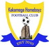 Kakamega Homeboyz