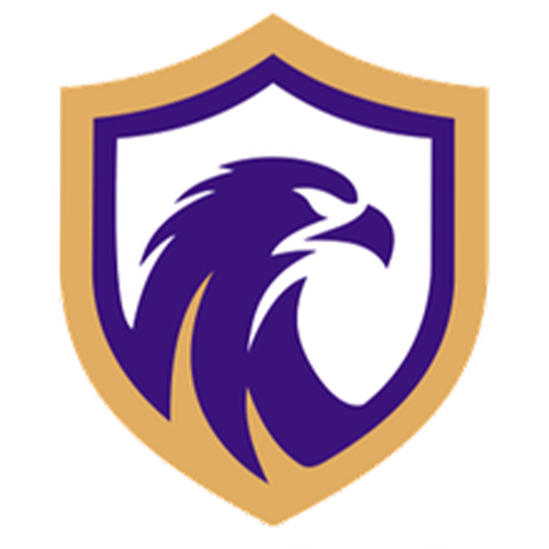 Falcon FC