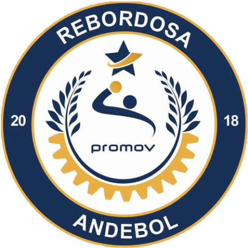 Rebordosa Andebol