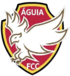 Águia de Cumaru