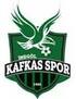 Inegol Kafkas Gençlikspor