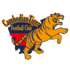 Angkor Tiger