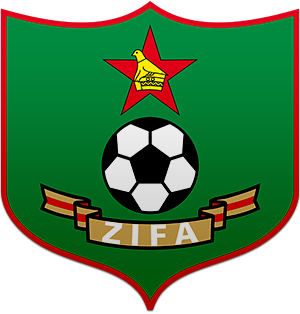 Premier Soccer League 2009League
