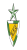 Estrela FC