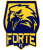 Forte FC