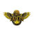 California Eagles