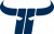Kapfenberg Bulls