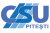 CSU Pitesti