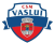 CSM Vaslui
