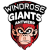 Antwerp Giants
