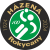Házená Rokycany