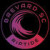 Brevard Riptide