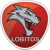 Lobitos Futsal