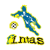 Fintas