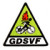 GD São Vicente Ferreira