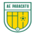 AE Paracatu