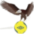 Alkali Nassara