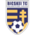 Bicskei