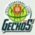 DTU Basketball