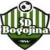 Bogojina