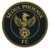 Seoul Phoenix FC