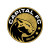 Capital FC