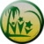 Nimgil Youth