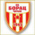 Borac Cacak