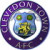 Clevedon Town